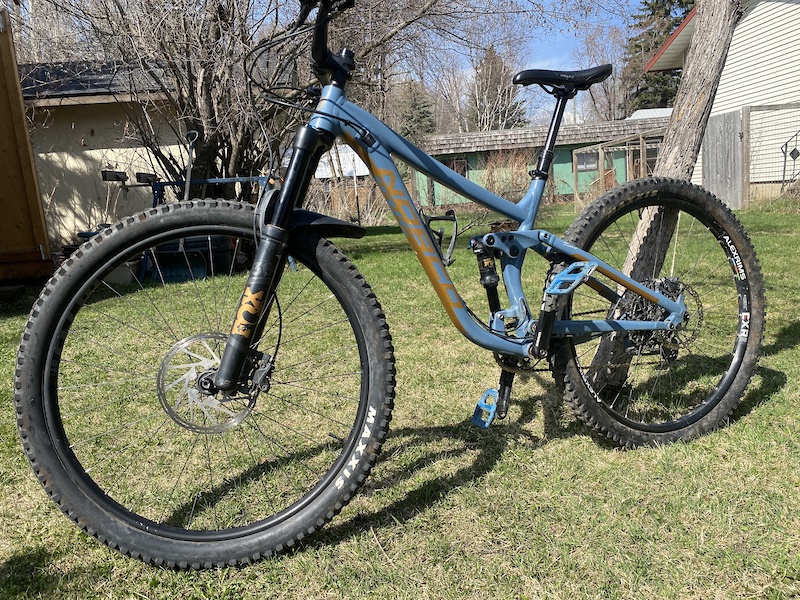 2019 norco sight