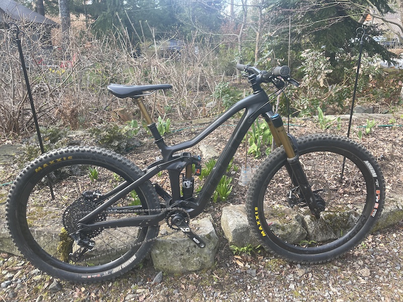 2019 trek remedy 9.9