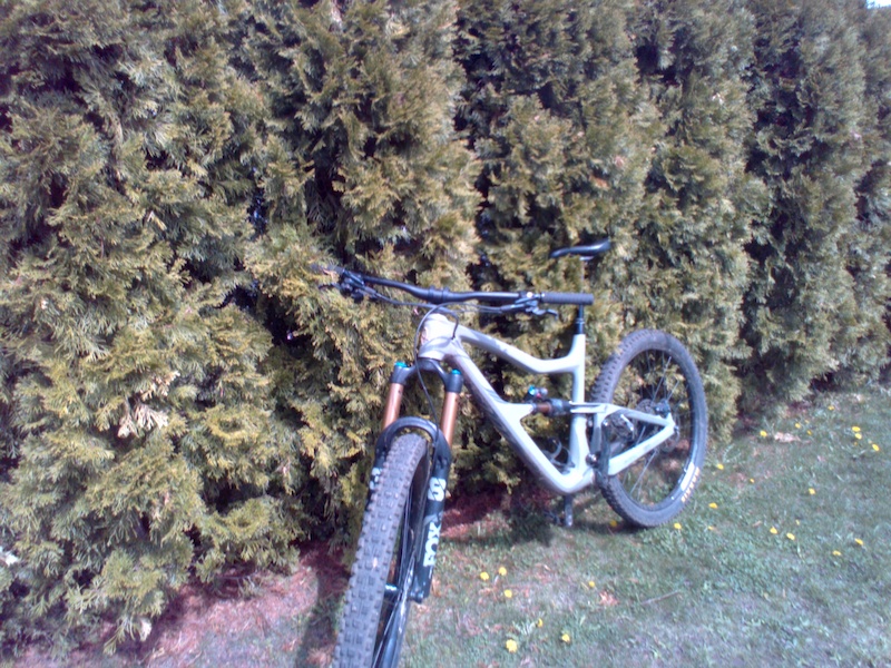 ibis ripmo af slx