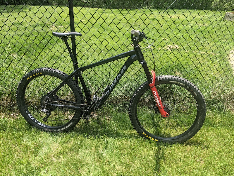 salsa timberjack ti frame weight