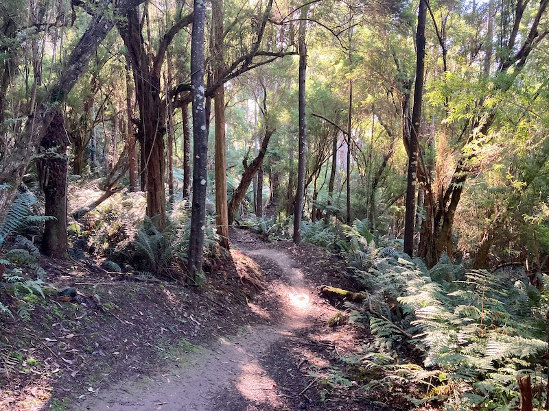 Bay Of Fires Trail Mountain Biking Trail - | Trailforks