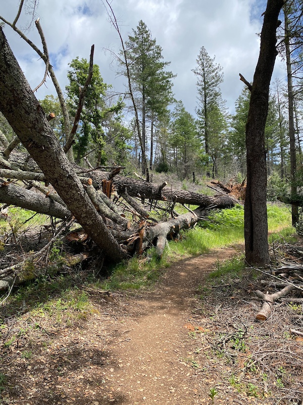 in Santa Rosa, California, United States - photo by JonRichzK6 - Pinkbike
