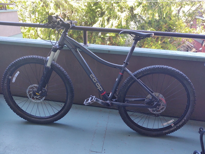 rei hardtail