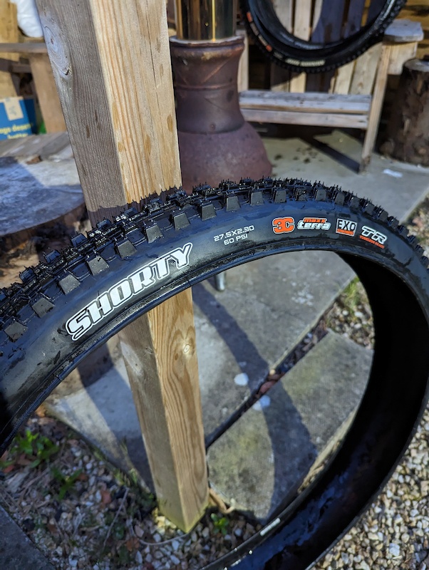 Maxxis Shorty For Sale
