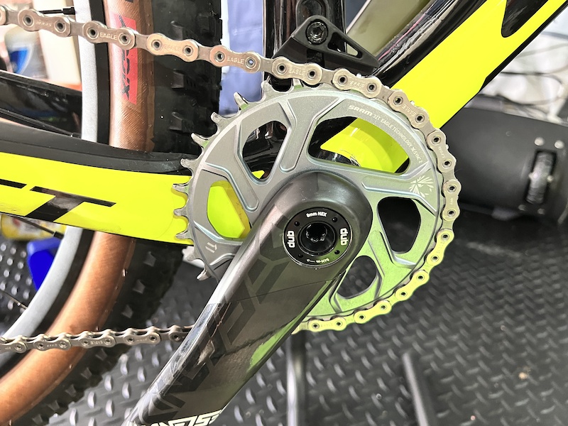 scott scale world cup 2019