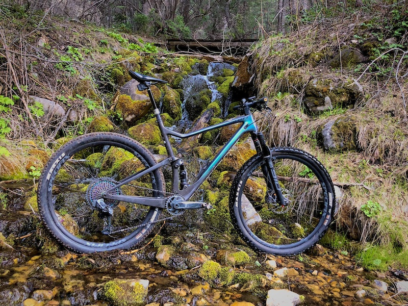 scott spark limited edition