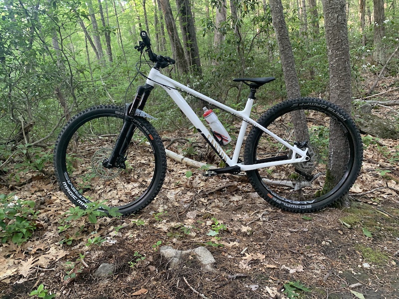 stoic hardtail