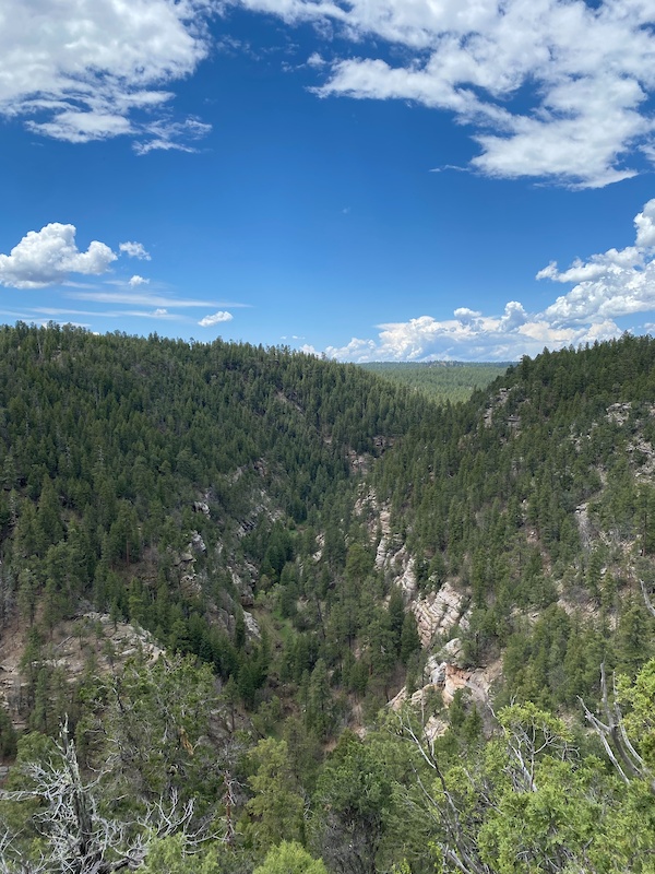 Azt Walnut Canyon Multi Trail Flagstaff Az