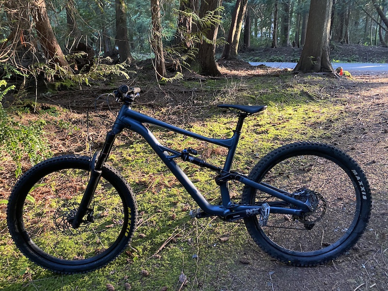 2020 Specialized Status 160 For Sale