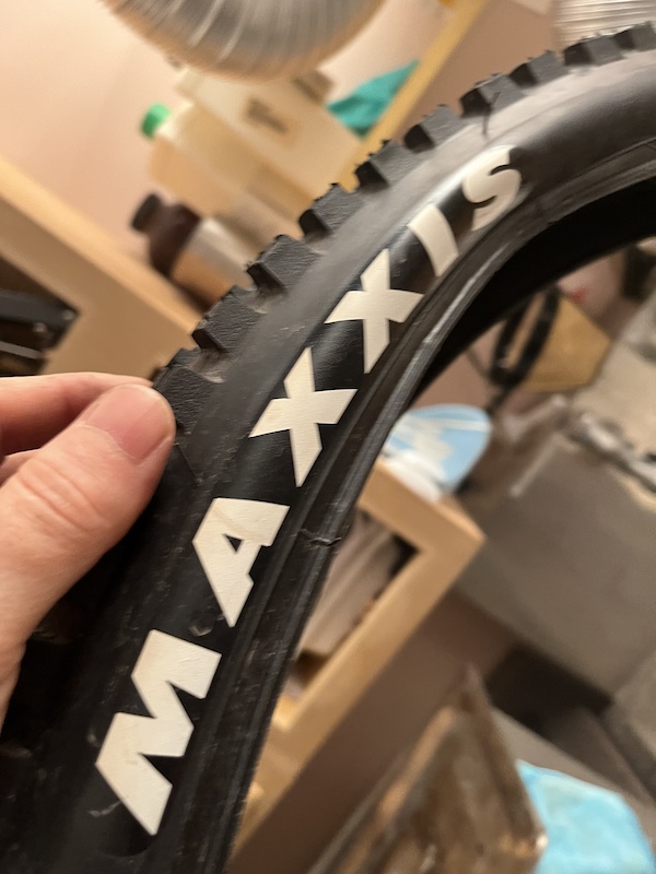 maxxis dhr exo 