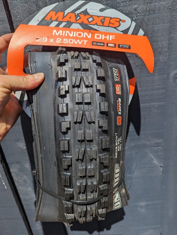 maxxis dhf exo 