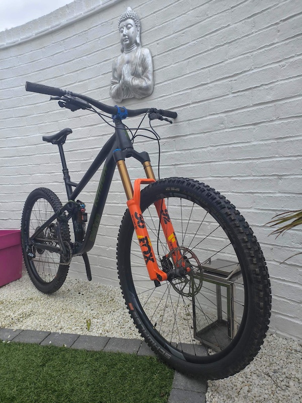 radon swoop 29er