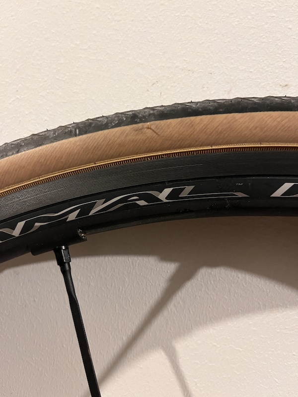 Campagnolo Shamal Mille C17 Wheelset For Sale