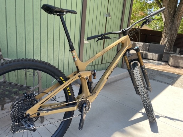 Transition sentinel on sale loam gold