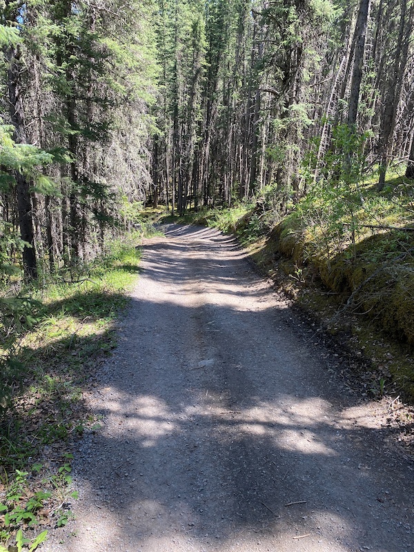 Rail Trail - Quarry Bypass ATVing/Offroading Trail - Nordegg