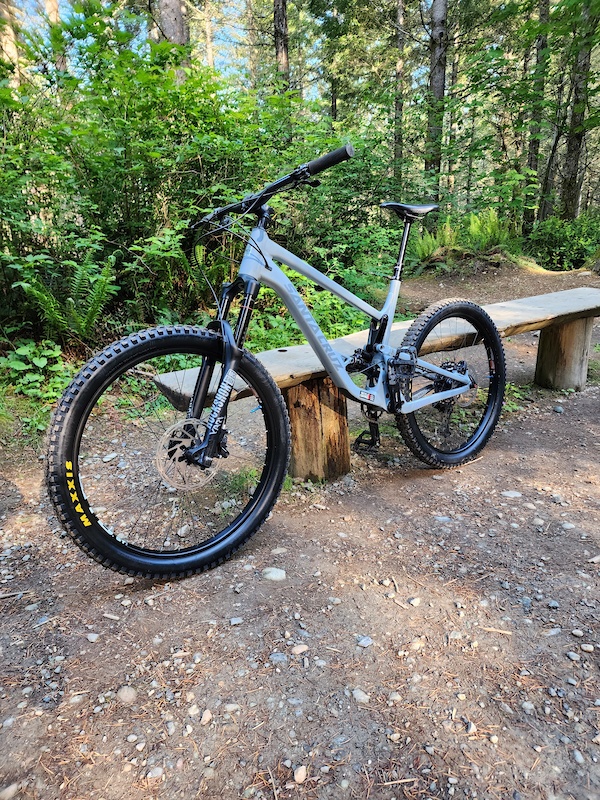 santa cruz bronson 2019 for sale