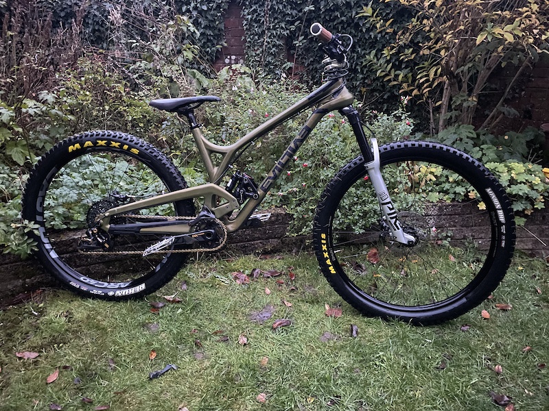 evil offering frank the tank