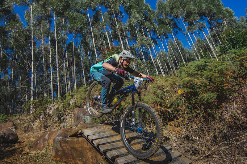 greg minnaar honda bike