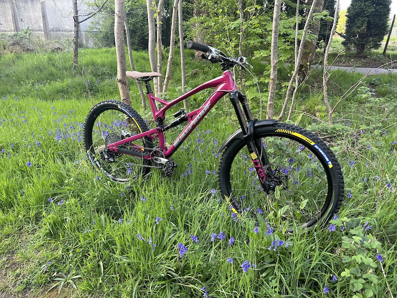 2020 Nukeproof Mega Expert Custom For Sale