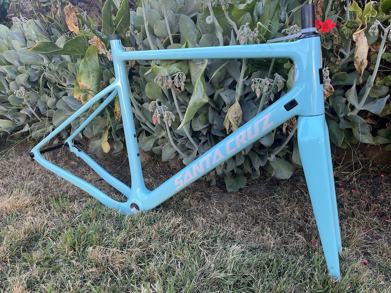 Santa cruz store stigmata frame