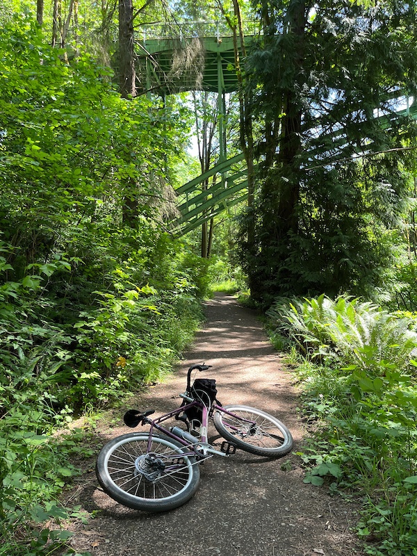 Ravenna Park, Seattle Hiking Trails Trailforks