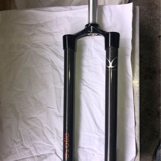 Exotic discount carbon fork