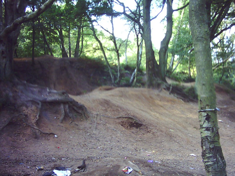 Just a double in the woods shame the locals dont clean up after them selves need a clear up