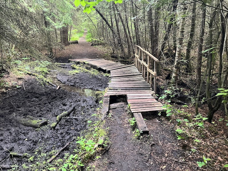 York Regional Forest Bendor & Graves Tract Mountain Biking Trails
