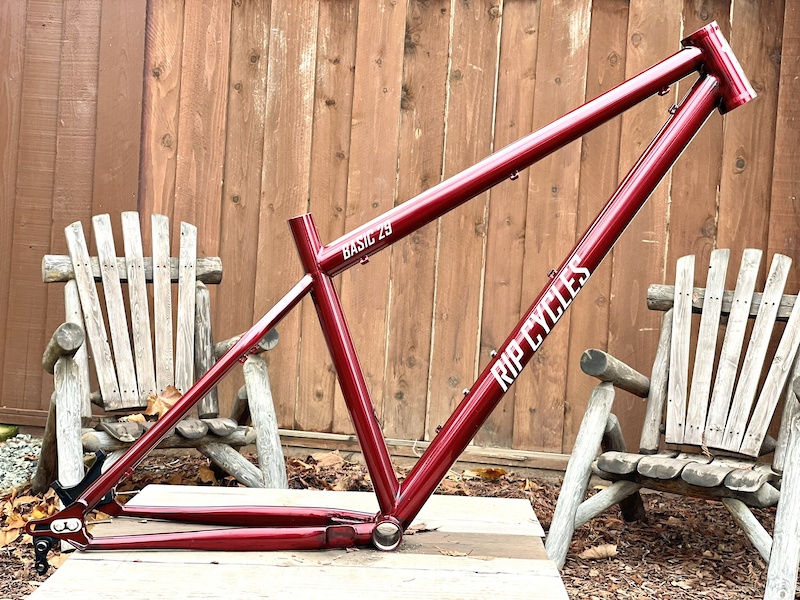 aggressive hardtail frame