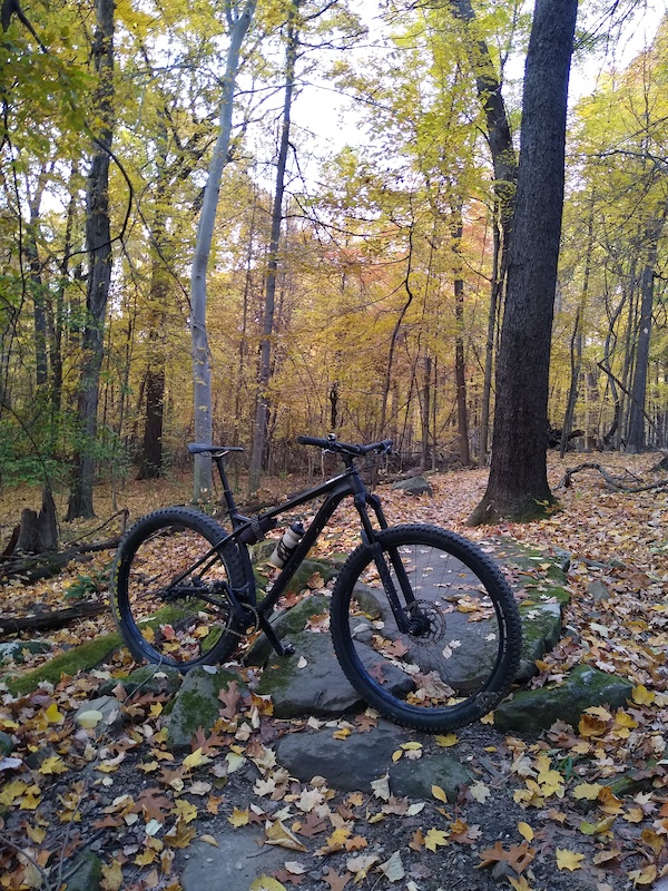 Mars Quarry Mountain Biking Trail - Bedford, Ohio