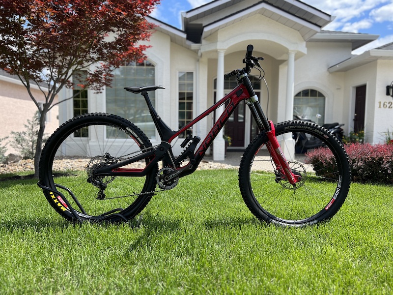 2019 norco aurum