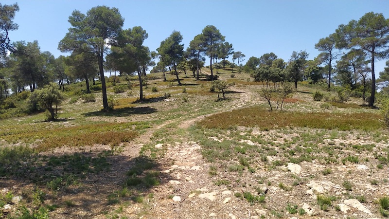 Sierra De La Fontanella-Biar-Bañeres Mountain Biking Trails | Trailforks