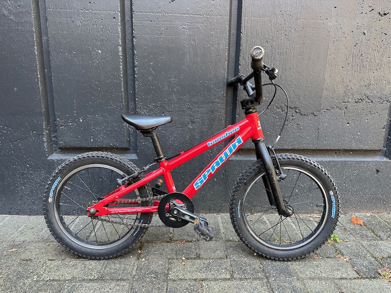 spawn-banshee-16-for-sale