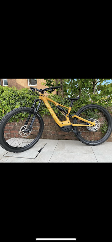 Specialized turbo best sale levo brassy yellow