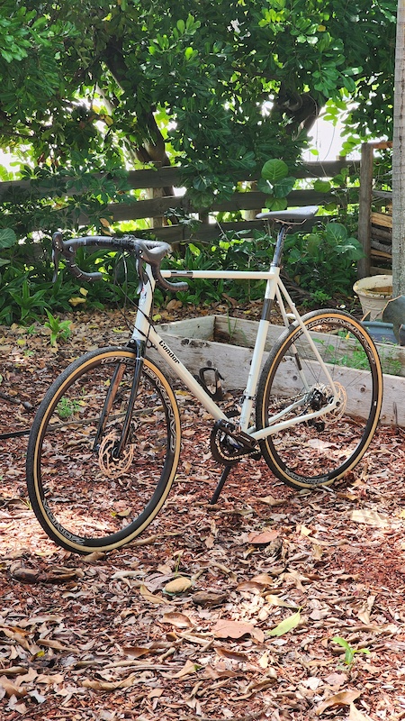 2022 condor cycles fratello For Sale