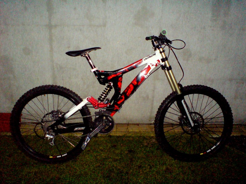 Specialized Big Hit 2008 M with Dhx 4.0,Boxxer Team,Avids Code, Ns LegEaters, Mavic ex325,Deore, Tiagra, Boplight
