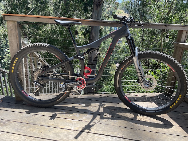 salsa horsethief 2019