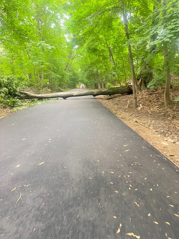 Motor Parkway Path Mountain Biking Trail Queens, NY