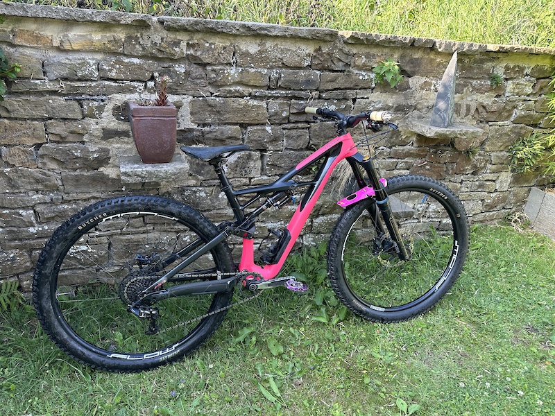 custom specialized enduro