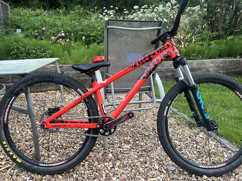 Saracen alx online frame