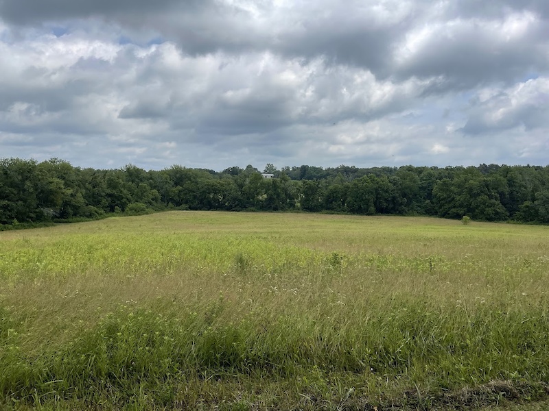 Main Field Perimeter Trail Hiking Trail Evansville