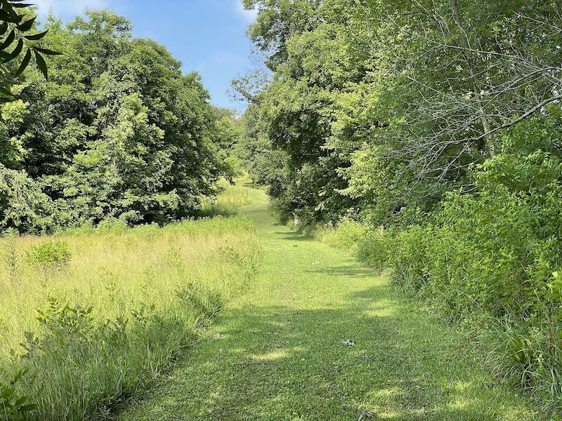 Upper Field Perimeter Trail Hiking Trail Evansville 1328