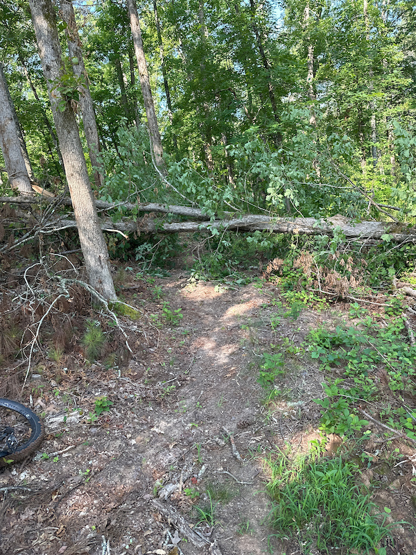 Long Cane Horse and Bike Trail North Loop Multi Trail Greenwood