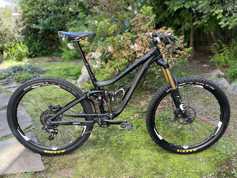 Giant 2024 trance carbon