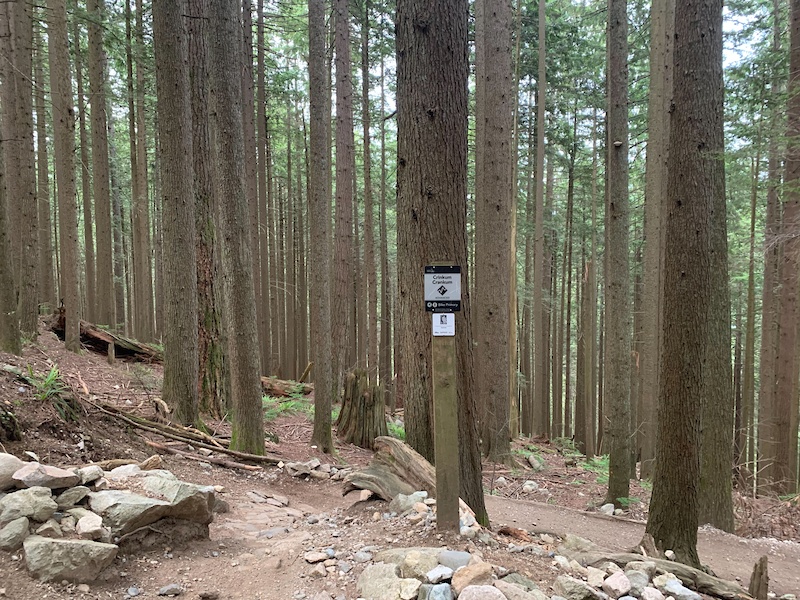 Mount Seymour Trail Multi Trail North Vancouver, BC