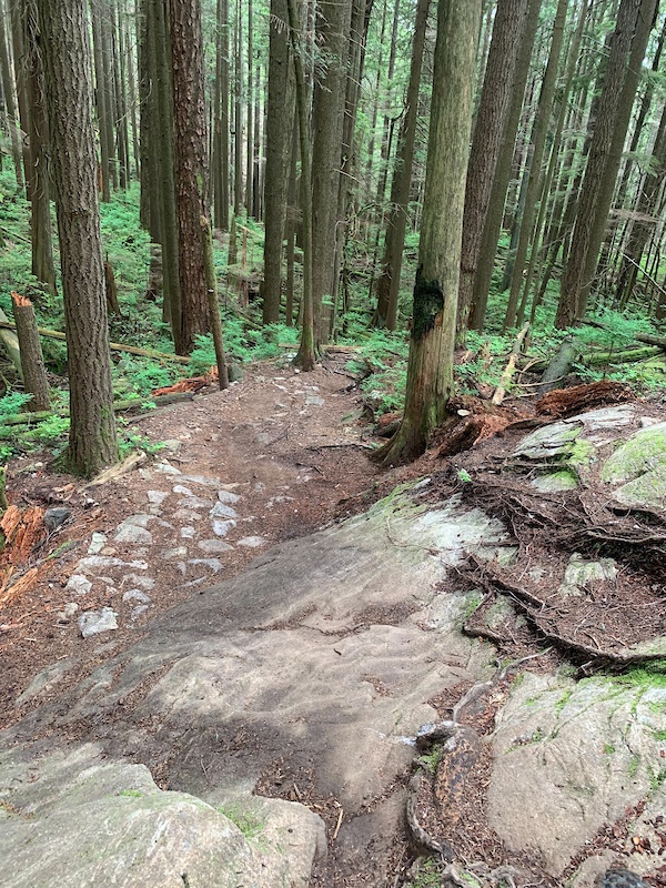 Mount Seymour Trail Multi Trail North Vancouver, BC