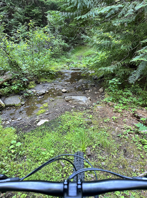 Santiam Wagon Road Fish Lake to Tombstone Pass Multi Trail Sweet Home