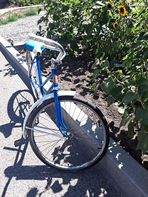 Vintage CCM single speed For Sale