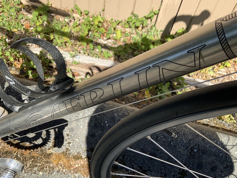 merlin cyrene for sale