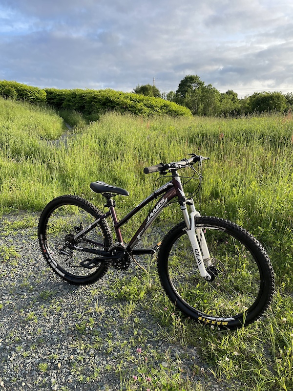 Jamis trail x1 online for sale